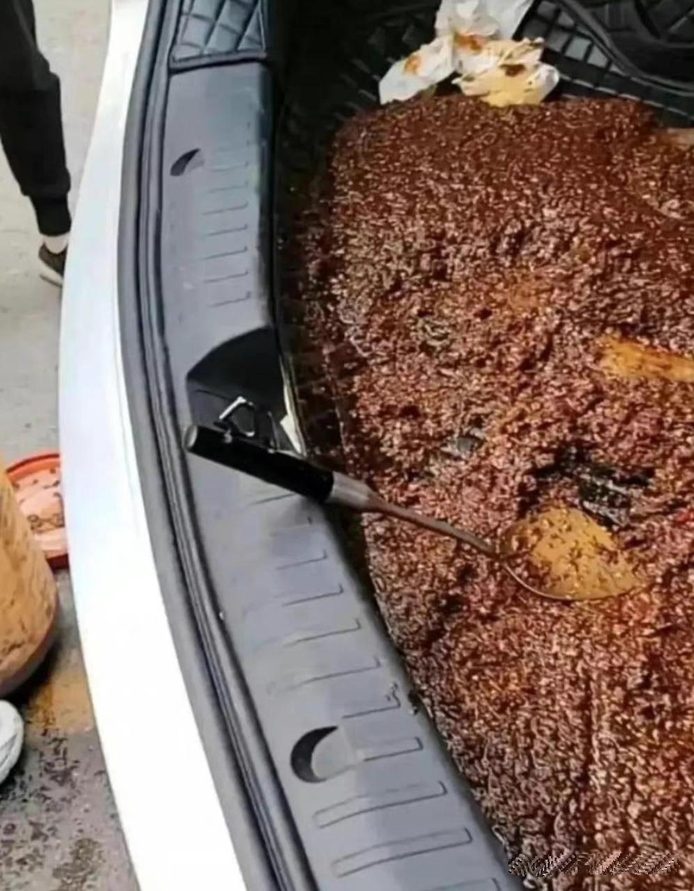 好不容易从老家带点特产，这下好了