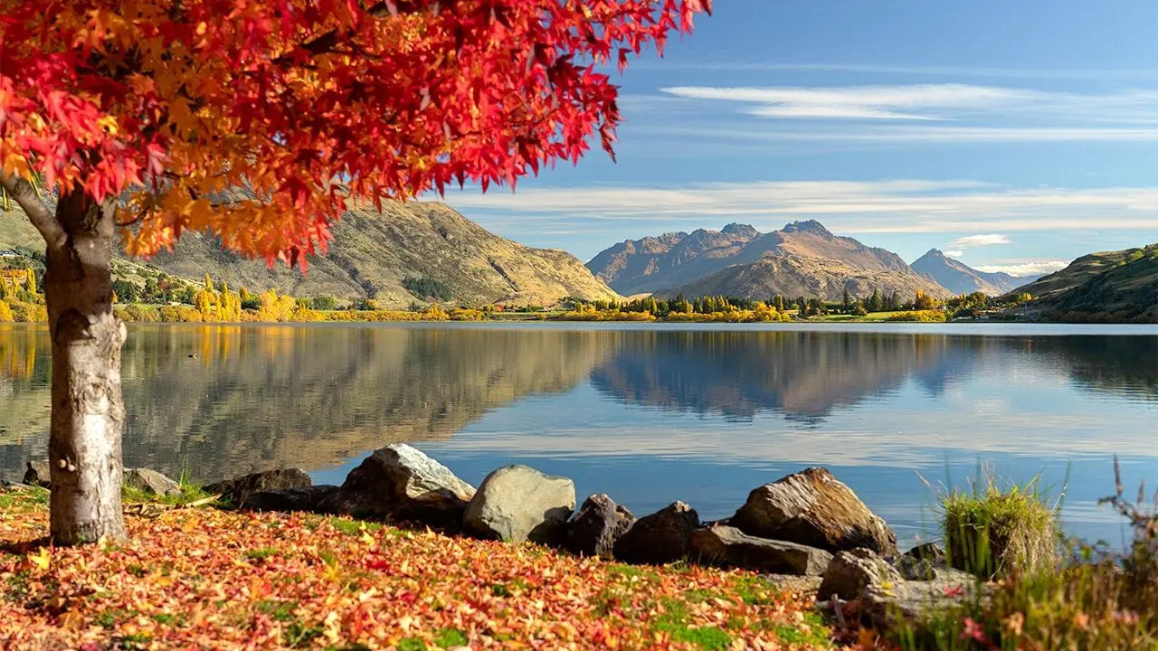 3-5月冲新西兰，人少景美，价格省一半！