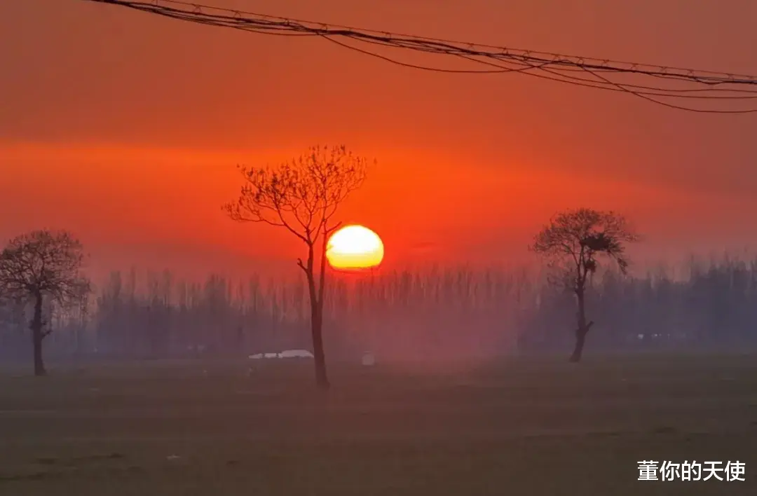 各个省份过年专属“主食”：河南山东的炸货，两广白切鸡，川渝的汤圆真“要命”！