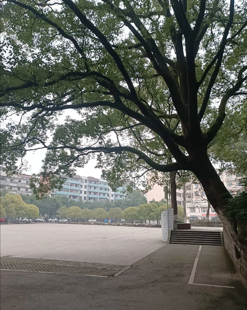 禁酒令一下，效果真的是立竿见影。
我们镇上那些做餐饮的朋友纷纷感叹，现在就没有体