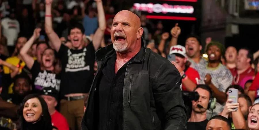 马特·哈迪希望 WWE 充分利用查德·盖博的天赋
TNA世界双打冠军马特·哈迪 