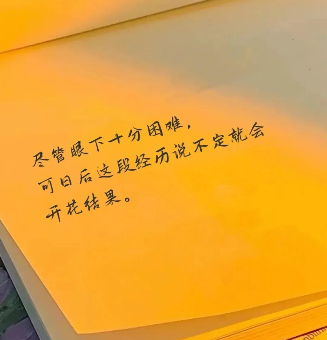 眼下纠缠你的烦恼，会悄然消散，目前的一切坎坷都是为了奔赴更为美好的未来，刷到回复