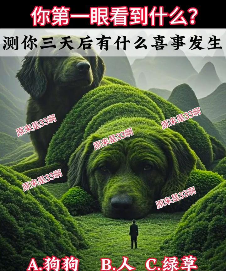 你第一眼看到什么？测你三天后有什么喜事发生。
原来是33。A.狗狗；B.人；C.