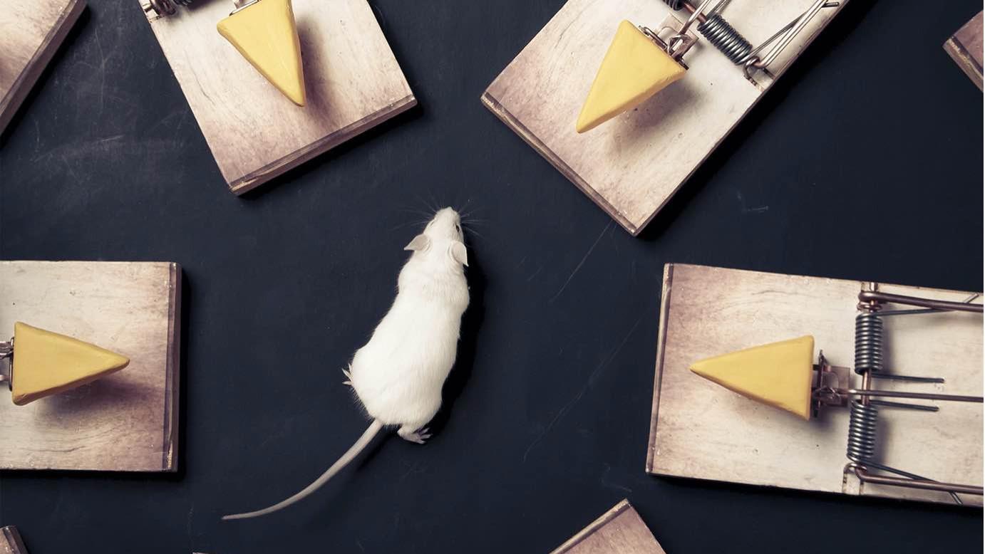 海富通基金10年间三度爆发“老鼠仓”丑闻