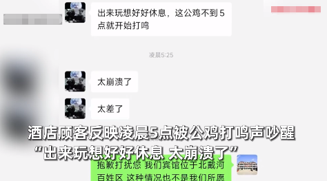 “笑不活了！”8月6日，河北北戴河，一位客人到酒店里住宿，谁知大早上5点多却被附