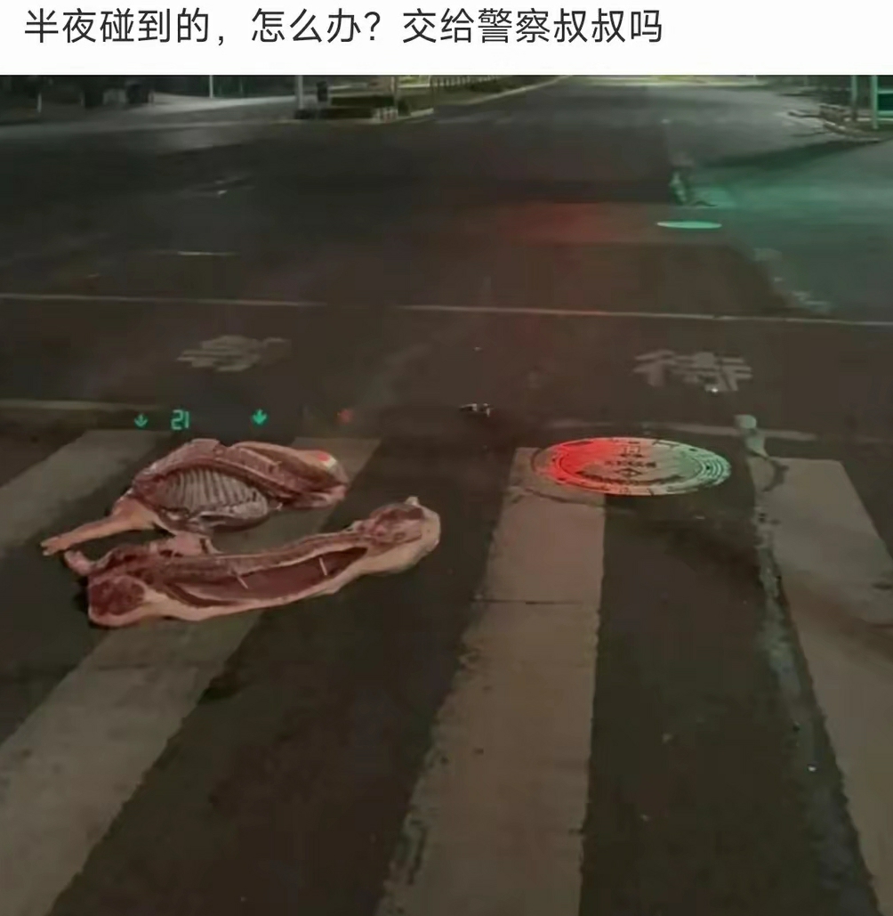 我在马路上捡到两边，把它交给警察叔叔手里面