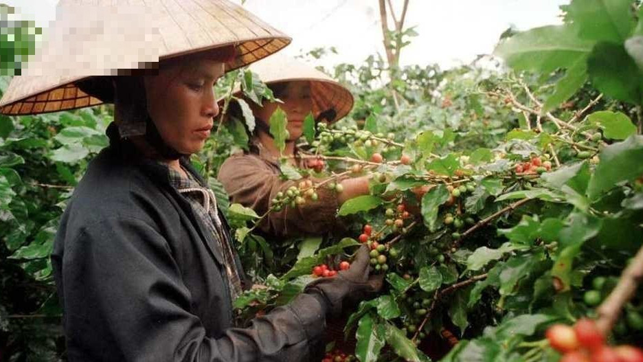 越南无视中方警告，配合美实现“去中国化”，不到4天对华又制裁