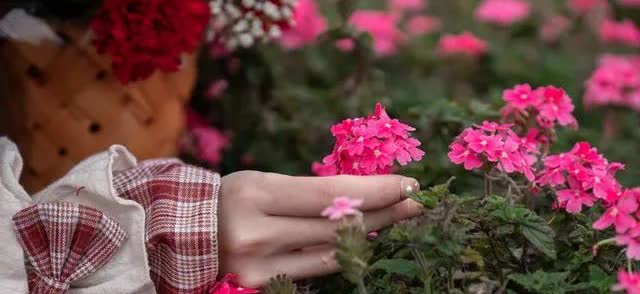 说花姐“花”真是一点不假。最近天津网红“花姐”被整治的事儿闹得挺火。她跳舞时摇头