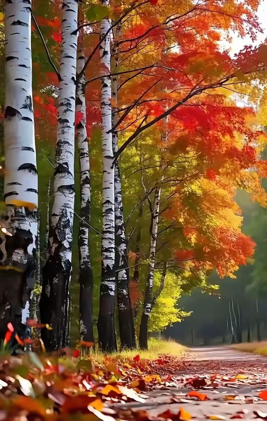 师父说：“当你的大运到了，让你富了，千万别骄傲，心态要稳住，别忘了那些大雨滂沱，