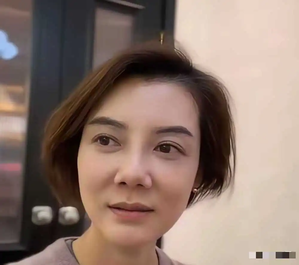 43岁车晓现状：离婚12年无儿无女，北京豪宅独自住，面相都变了



