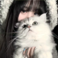 猫屋轩