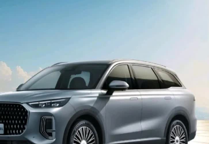 2025买车，记住这行情 

45%电油混车
30%纯电车
25%燃油车
