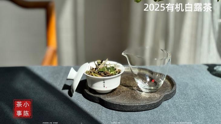 白茶滋味寡淡怎么办？3个小技巧，亲测有效，泡出好味道