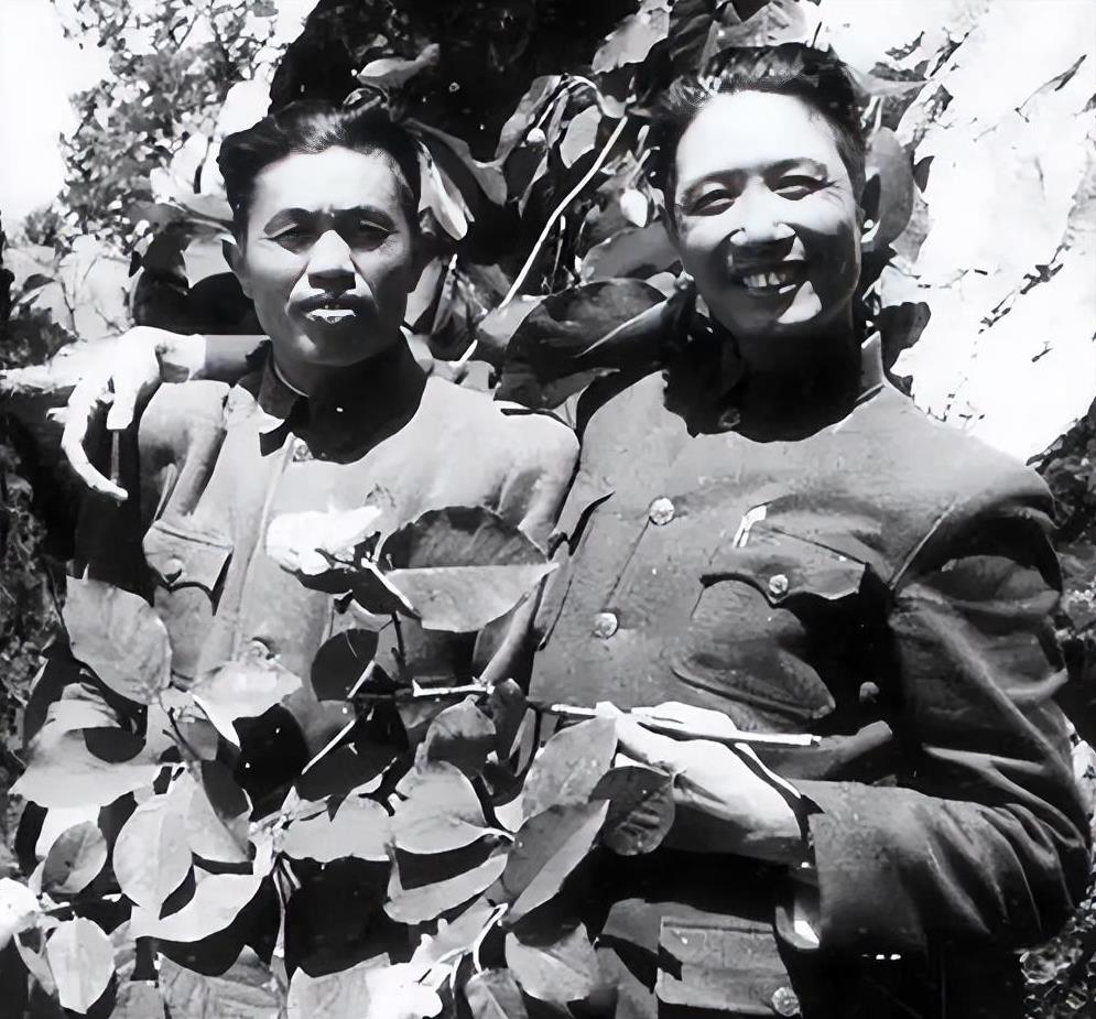 上世纪50年代
人民解放军高级将领张震中将（右）和皮定均中将的珍贵合影。