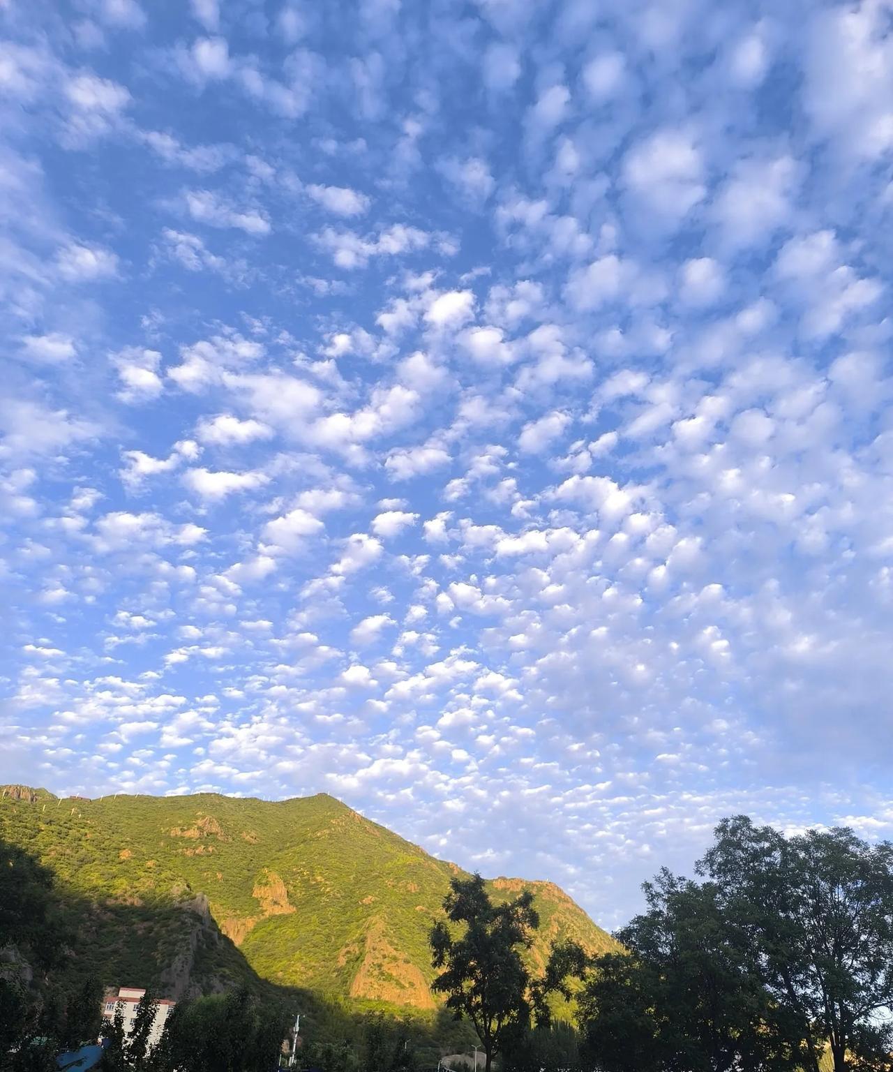 有时老天
是公平的
给了你容貌
不给你能力
给了你财富
不给你长寿
给你开了
一
