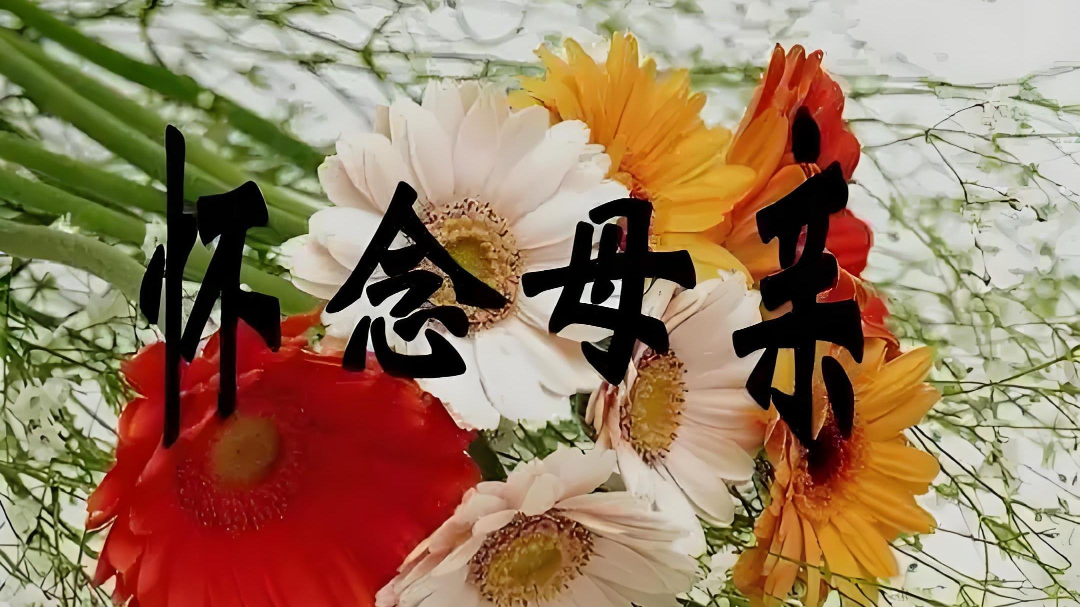 清明怀念母亲