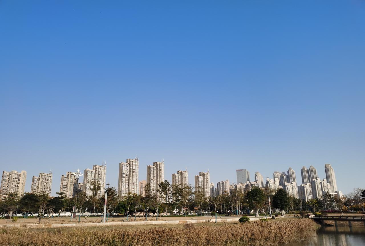 观察发现：
单位里工作久了会有一个直观感受；
那就是自己渐渐会变得不认识自己；