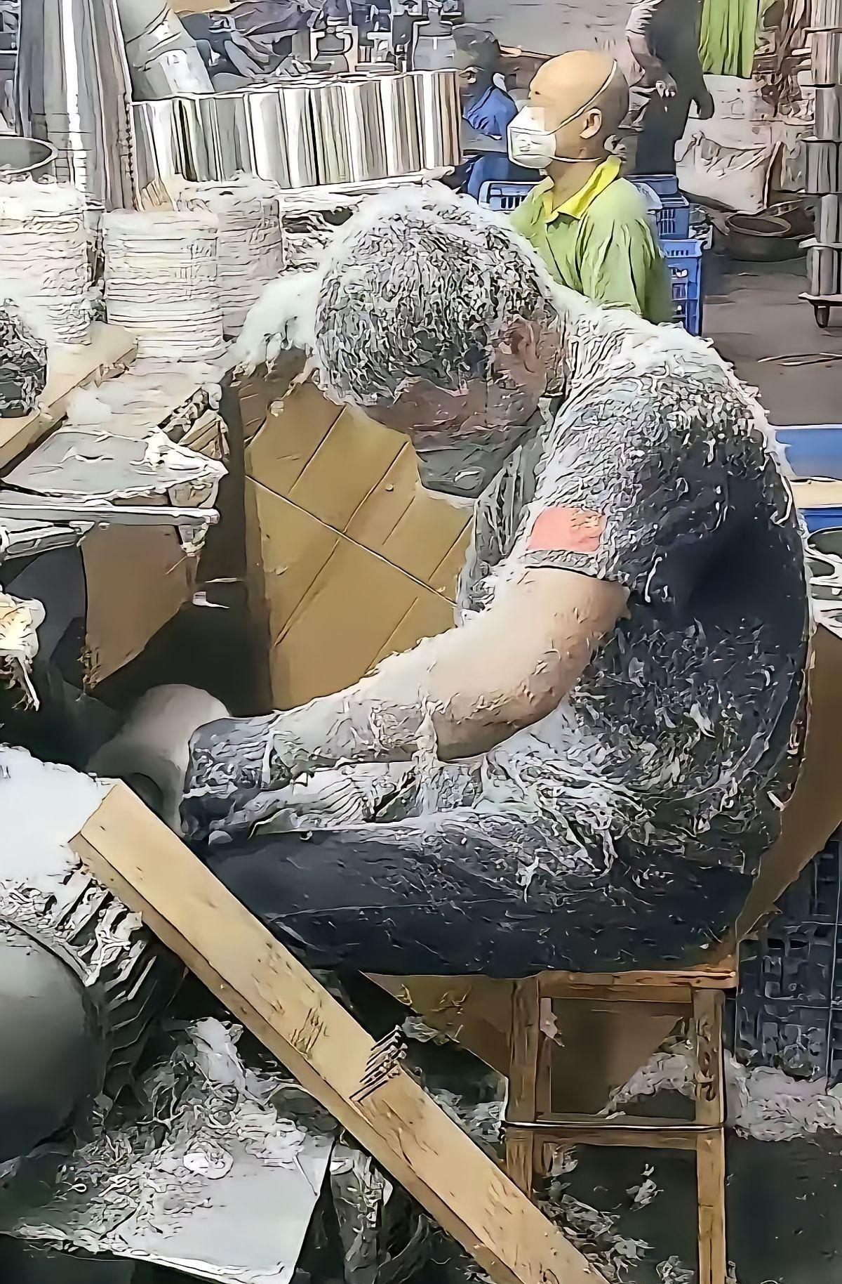 一个月8000，让你干这份工作，你会去吗？