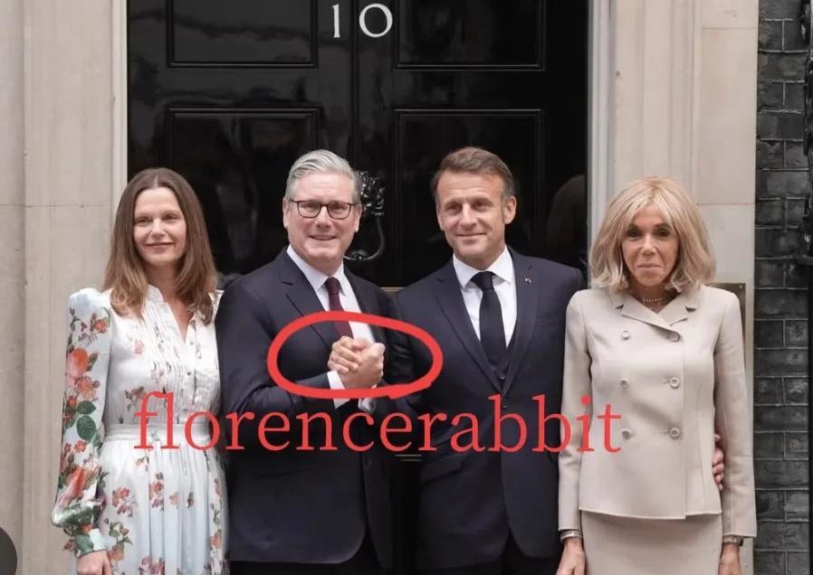 在对英国进行国事访问的第二天，法国总统夫妇离开了温莎，来到唐宁街。在进入 10 