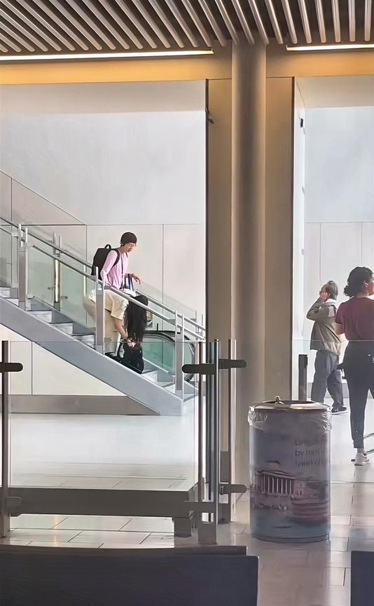 典型的中产，唯一能折磨的只有子女。