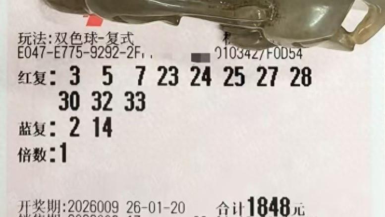 11+2复式大票为首，辅以10倍、3倍等多张单复式票，共同静候大奖，26009期双色球晒票欣赏
