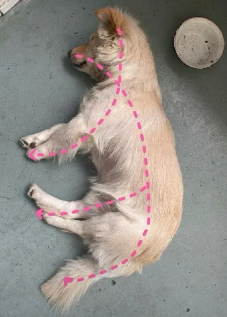 祖宗没骗人