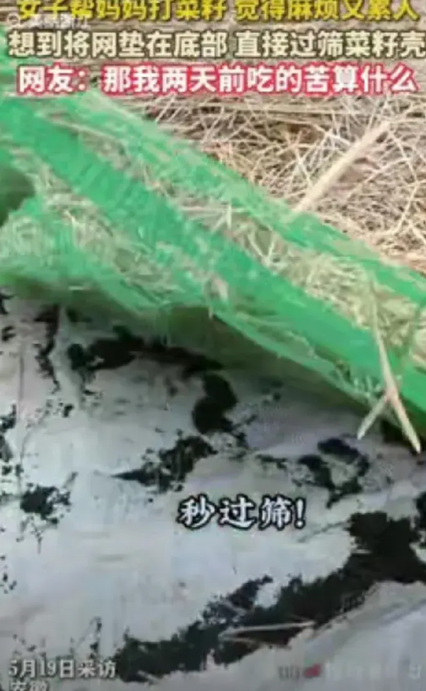 “火到人民日报！”安徽一女子帮妈妈打菜籽，觉得又麻烦又累人，女子灵机一动，决定把