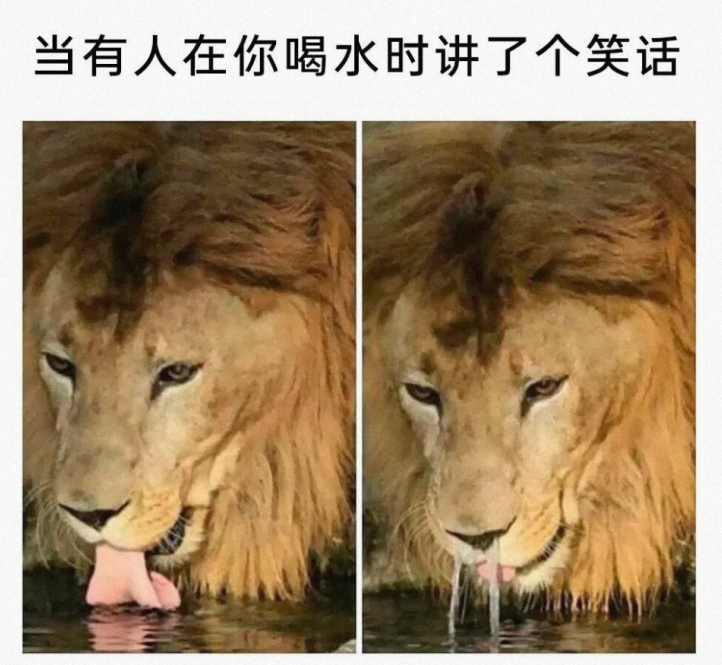 当有人在我喝水时讲了个笑话