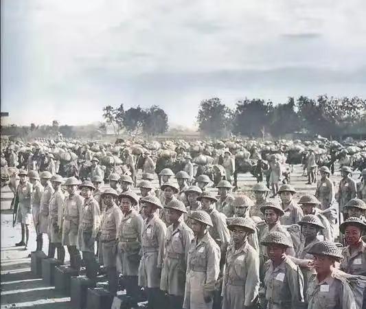 1945年，一名中国远征军连长，在缅甸战场上好心救下了一个日本女护士。后来，他娶