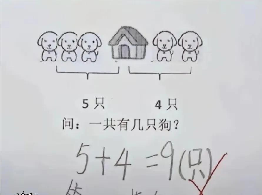 40%的丢分只因没看清题！
再聪明也白搭，题目读完就忘等于白给。
上周小测，李思