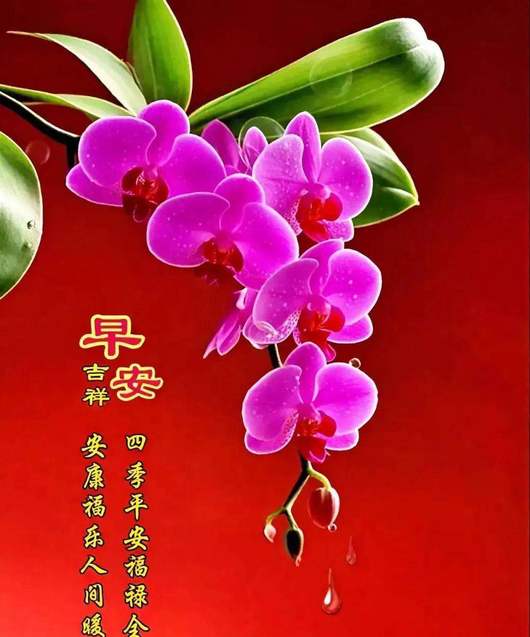 3月15日，送个祝福，平平安安；送个心愿，美美满满；送个快乐，心情舒畅；送个吉祥