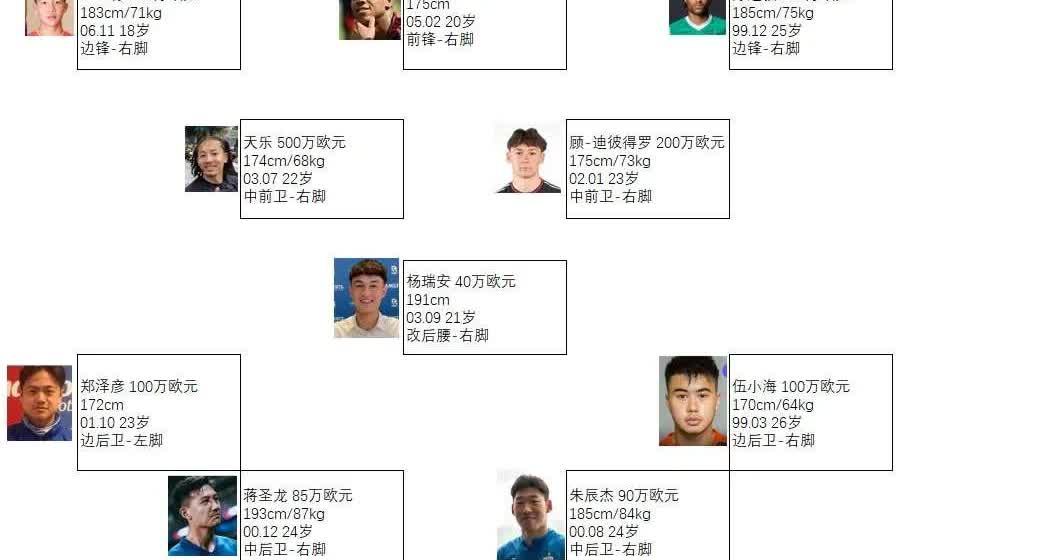 这个阵容，让人看起来就想流口水！中国国家队还是要搞血缘归化，第一是因为血缘归化有