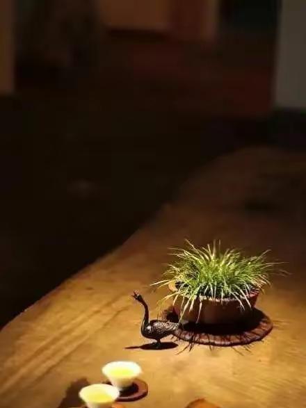 刘震云说：“蜘蛛能坐享其成，靠的是关系网。瀑布能口若悬河，靠的是居高临下。锯子能