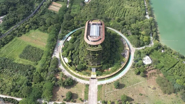 1.8亿造的“烂尾楼”，竟是全球最大的金钱龟养殖基地！