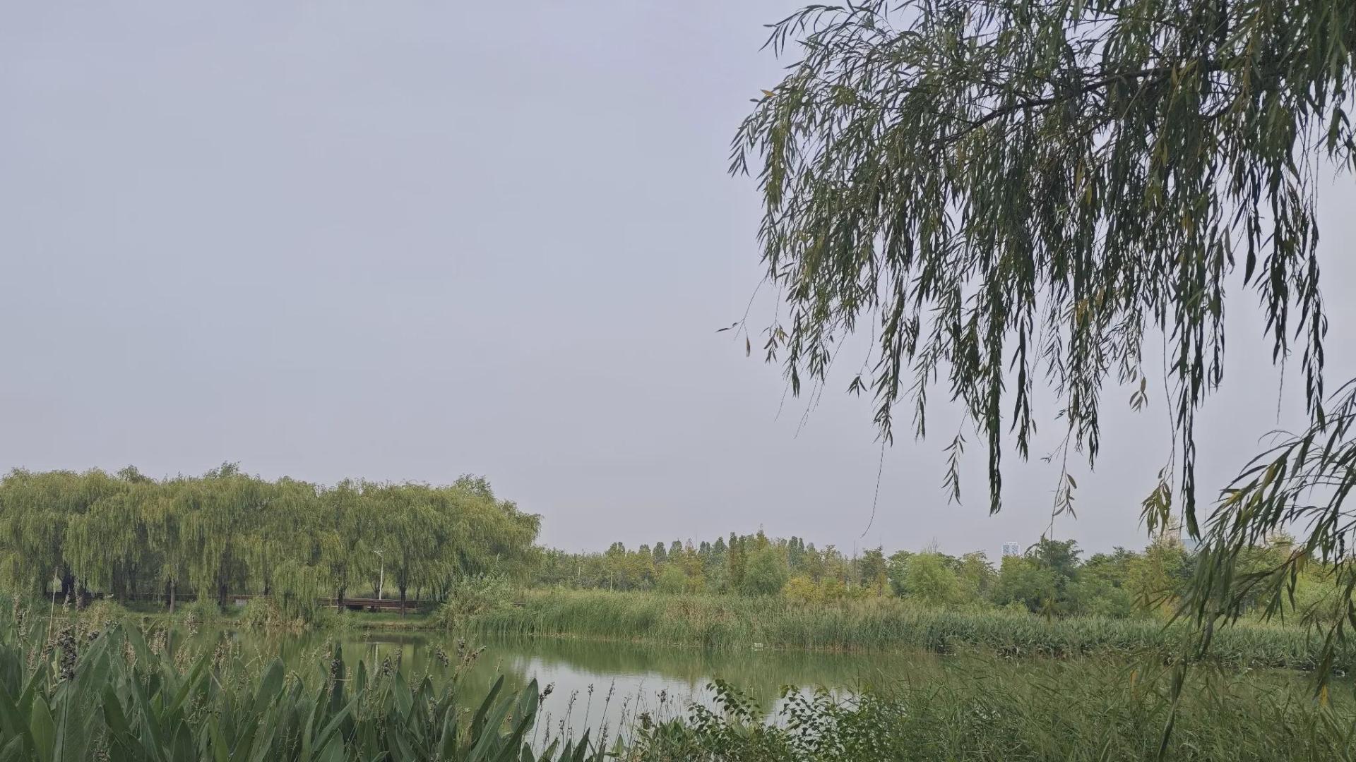 十五年前的抉择，如今的孤独：她和他的故事
