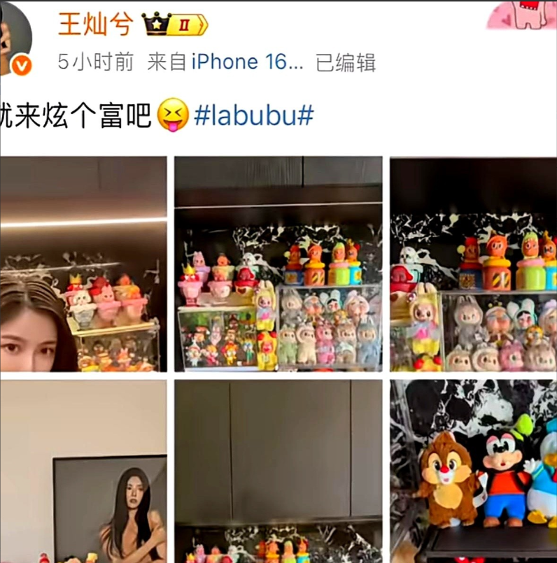 没有任何工作的明星老婆，

嫁给富人以后，

买什么，都要出来炫耀，

真是太闲