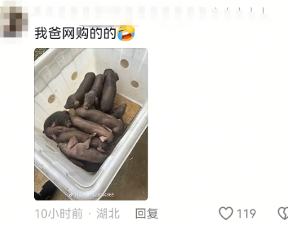 真的是笑不活了