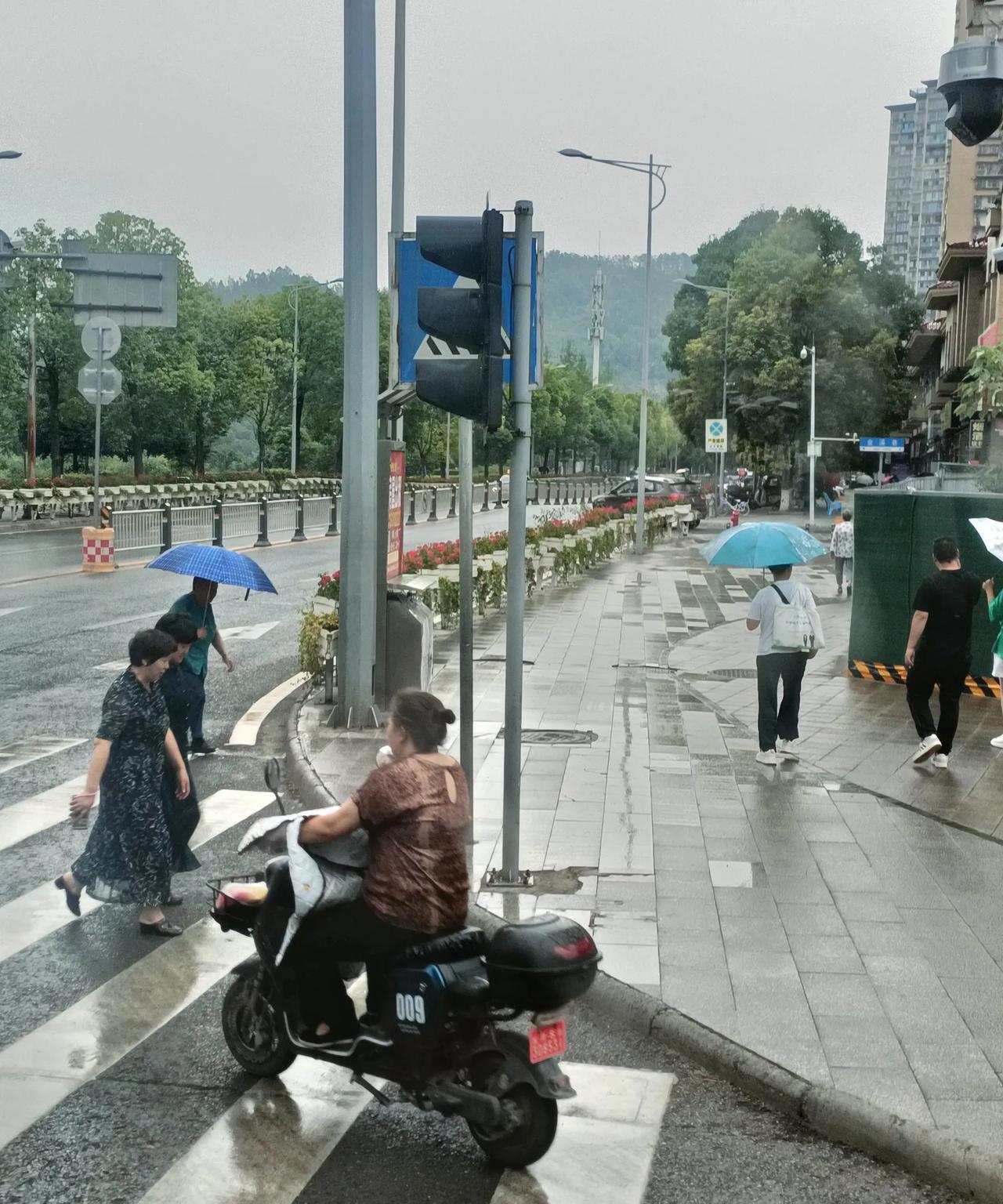 #今日所见所闻#雨天降溫適宜步行！前幾天37度長晴烈日，出行都是公交或自用汽車摩