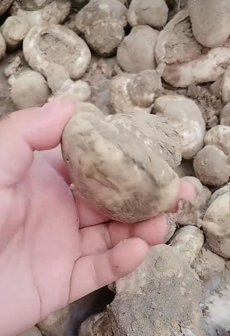 吃市场卖的，外面全是土，能吃吗？