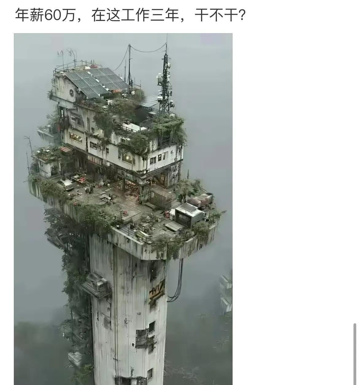 你会干吗？