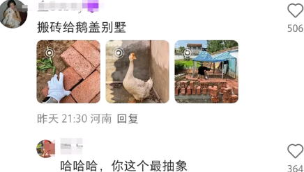 哈哈哈，你这个最抽象