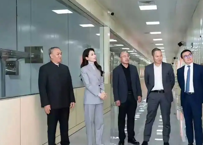 刘涛这派头像入了体制内样