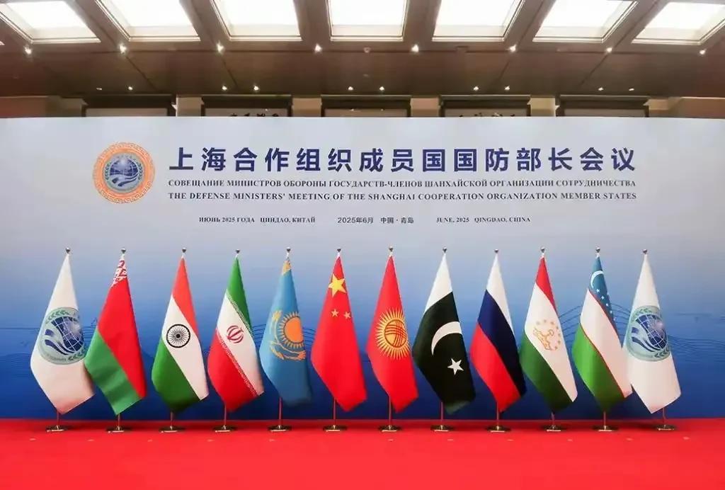 参加今年青岛上海合作组织峰会的国家有：
俄罗斯
哈萨克斯坦
吉尔吉斯斯坦
塔吉克