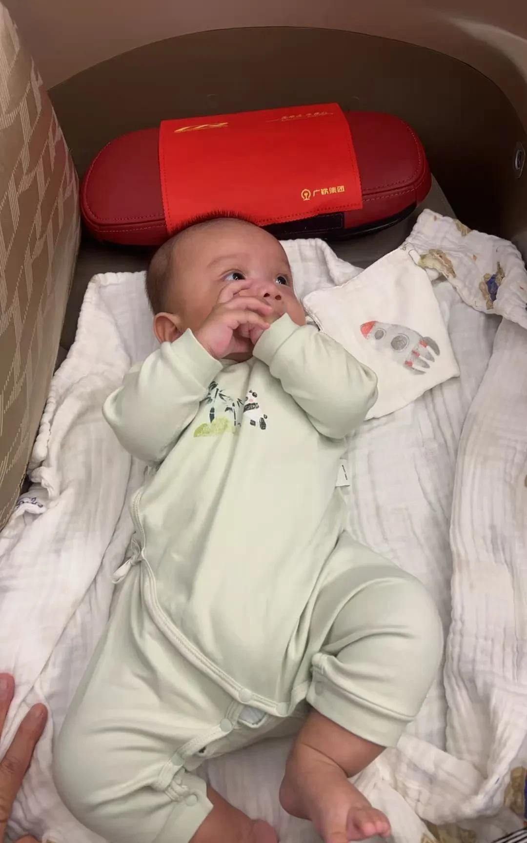 俺这是一个三个月的宝宝，从广州到湛江，要去找妈妈和姥姥……
本来路途有点疲劳，想