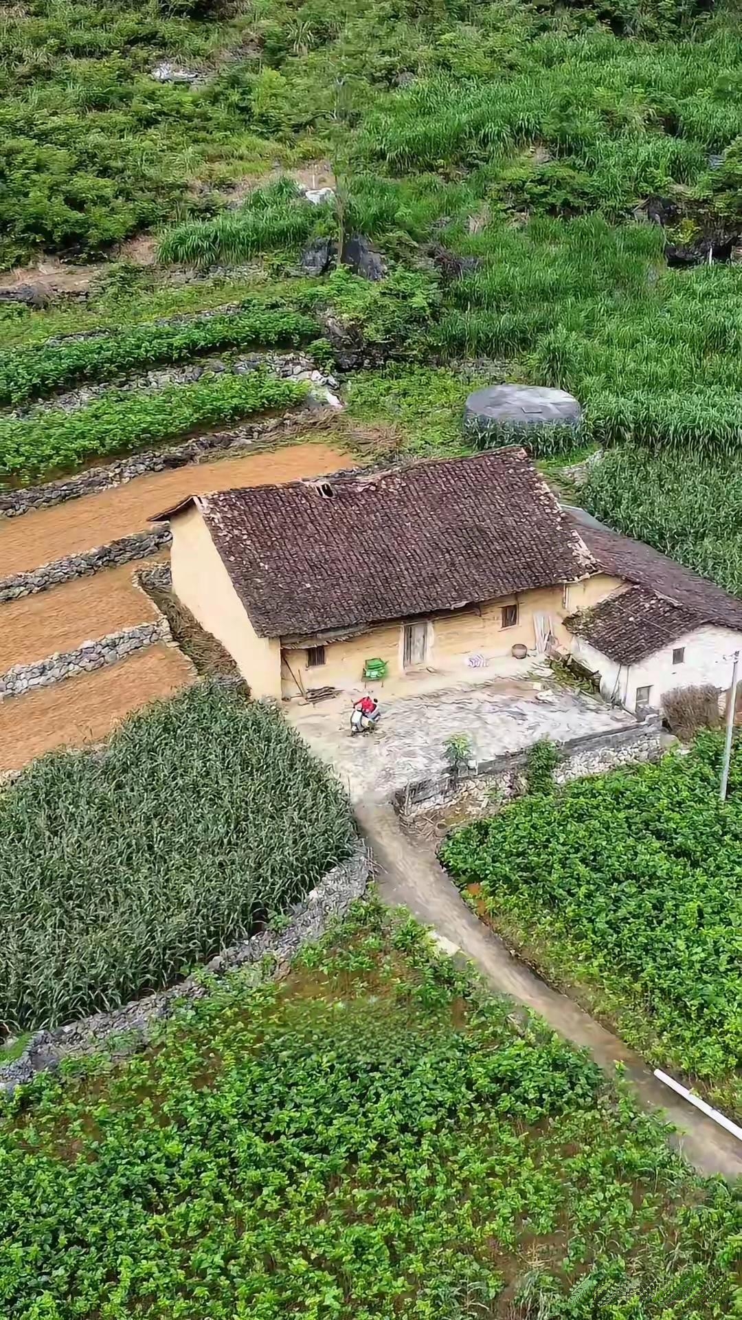 前几天堂哥和我说他们家都在城里住了，村头的这间老房早已没有人住，想以几千块的价格