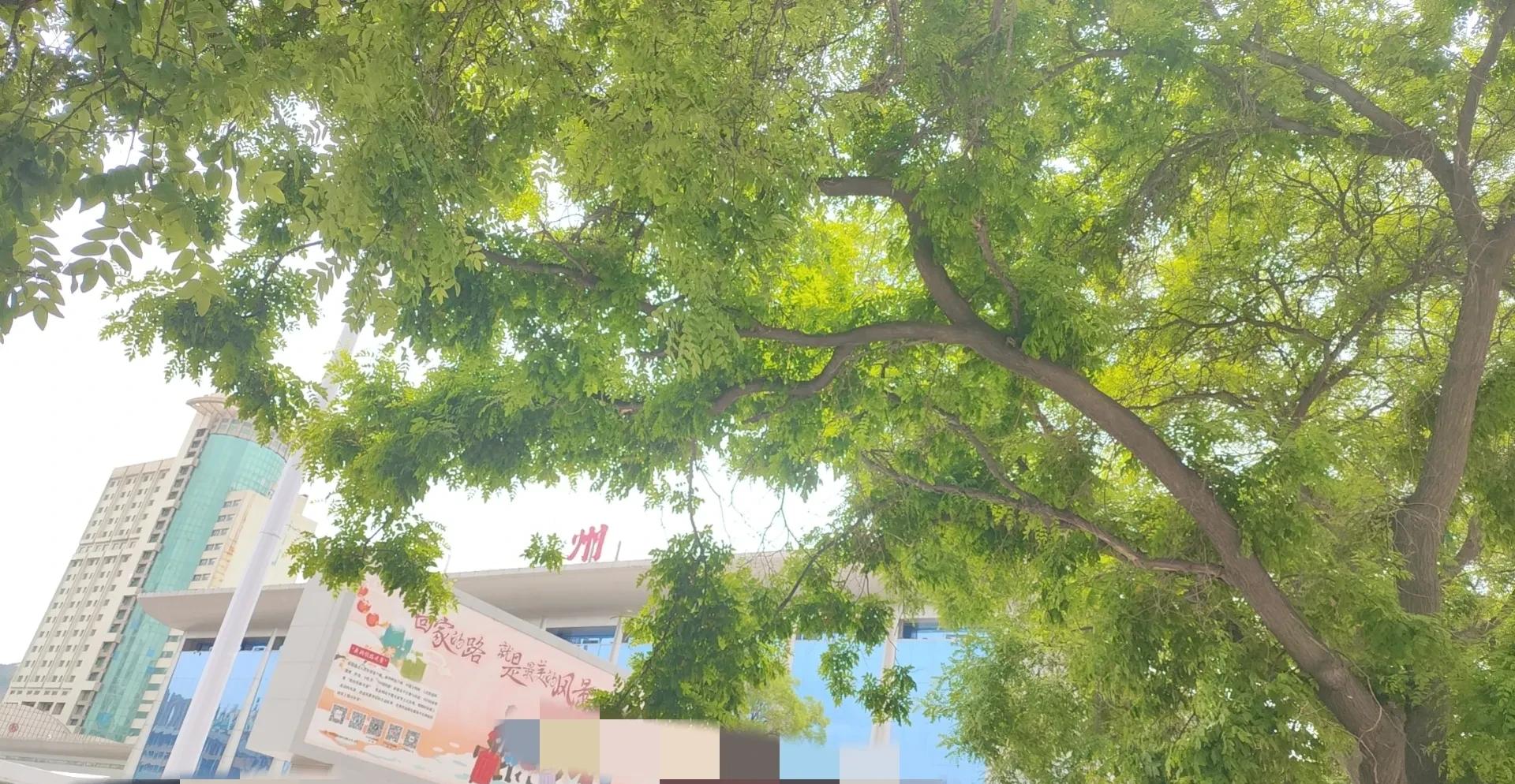 同学小何订婚，男方给15万彩礼，女方父母退回6666，男方却当场闹事！



五