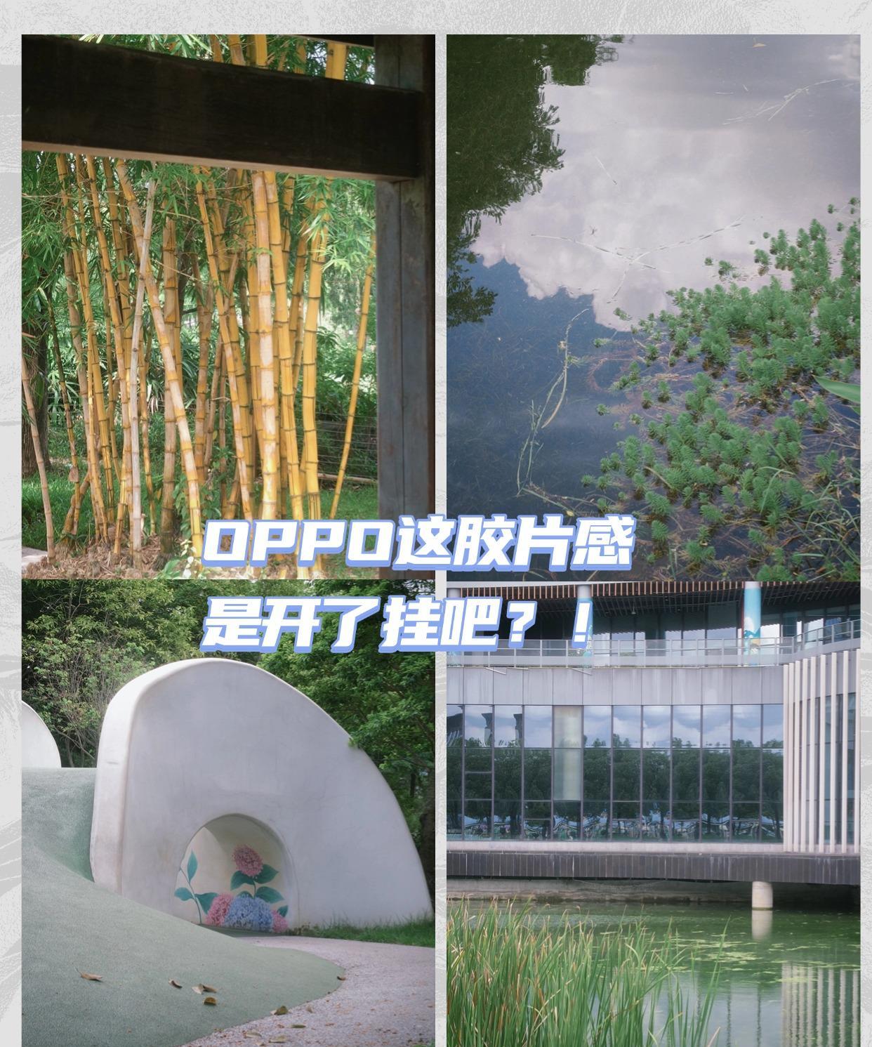 OPPO这胶片感是开了挂吧？！
Find X8s现在国补后只要3K出头就能到手，