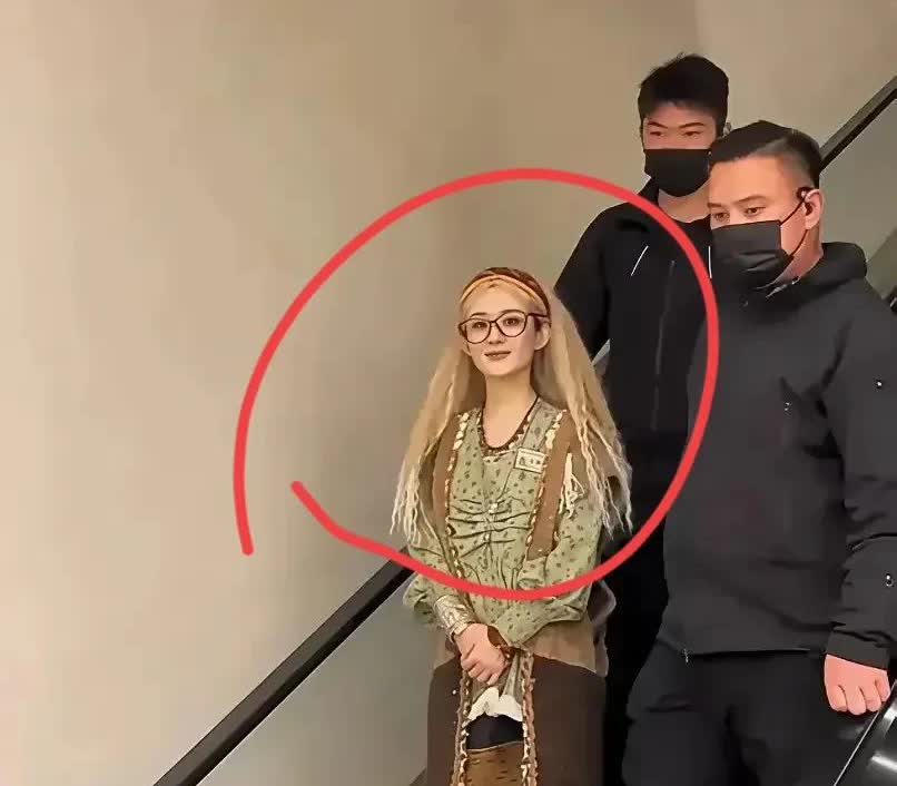 赵丽颖，

你哪里都好，

但就是有一个缺点

太有个性了！

