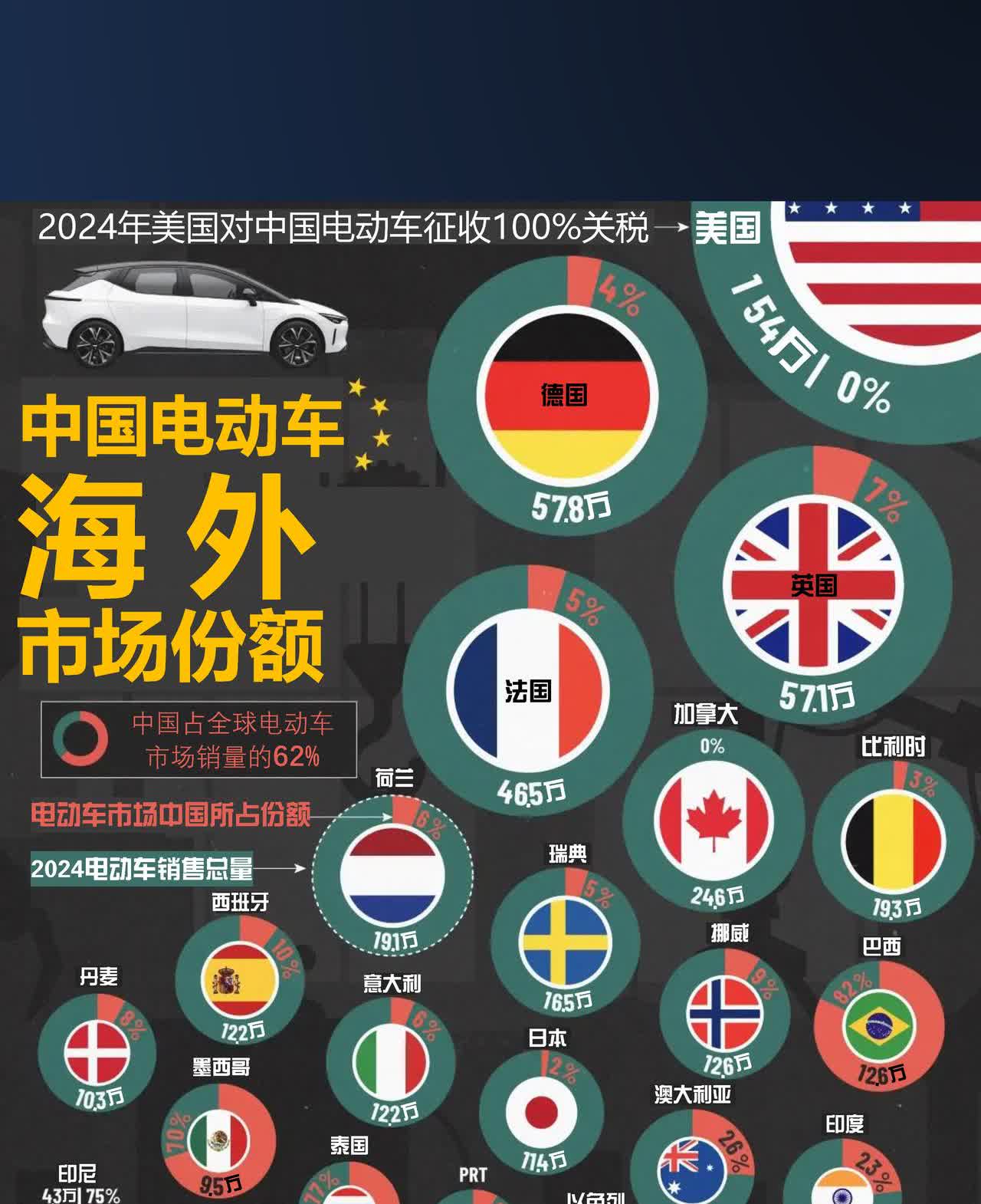 中国电动车海外市场份额（2024年）