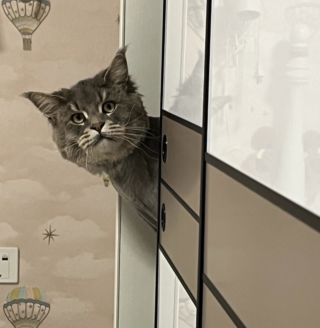 天塌了！豪车要涨价了
做销售的朋友和我说，他们的在售车型要被迫“涨价”了。7月